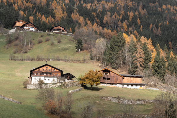 45 maireggerhof null17 2160px 9516alexschidlbauer