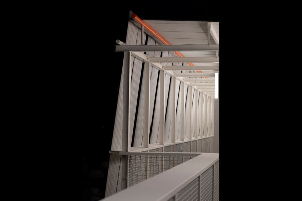 Cappellari4R4A1153_1