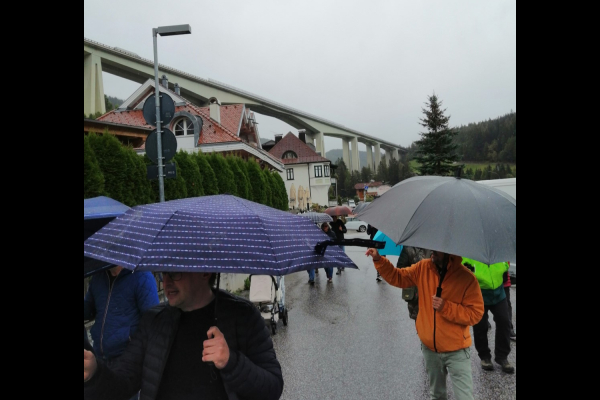 IMG 20241004 153931 Gross