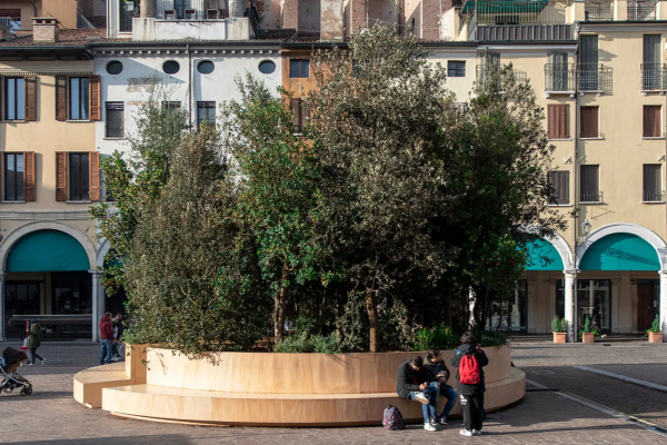 IntoTheForest Mantova Matteo Motti Openfabric 1_1