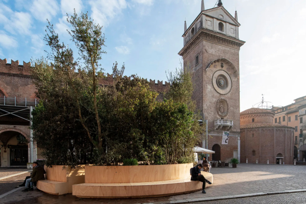 IntoTheForest Mantova Matteo Motti Openfabric 3