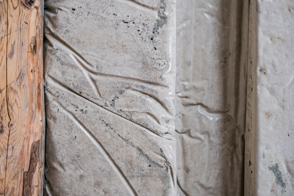 wisthalercom 21 05 Arch Hitthaler Wilma DSC 9796