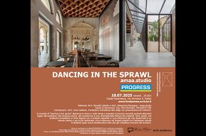 DANCING IN THE SPRAWL_amaa.studio 